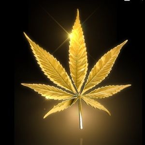 Meet your Posher, Oscar